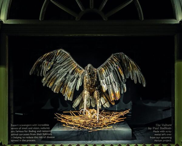 A vulture sculpture in a Fortnum & Mason Resourceful Nature window